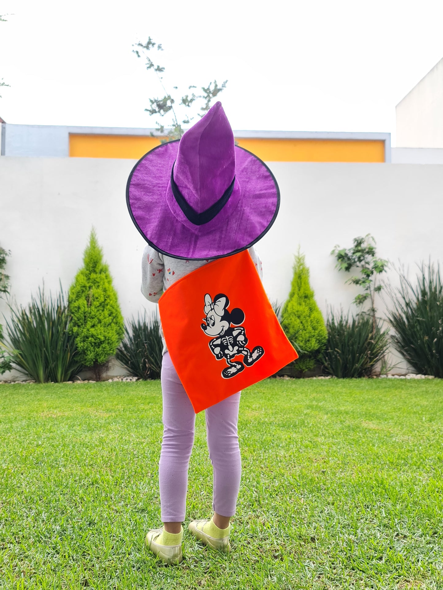 Bolsa Minnie