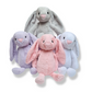 Set de regalo conejo plush con caja personalizada
